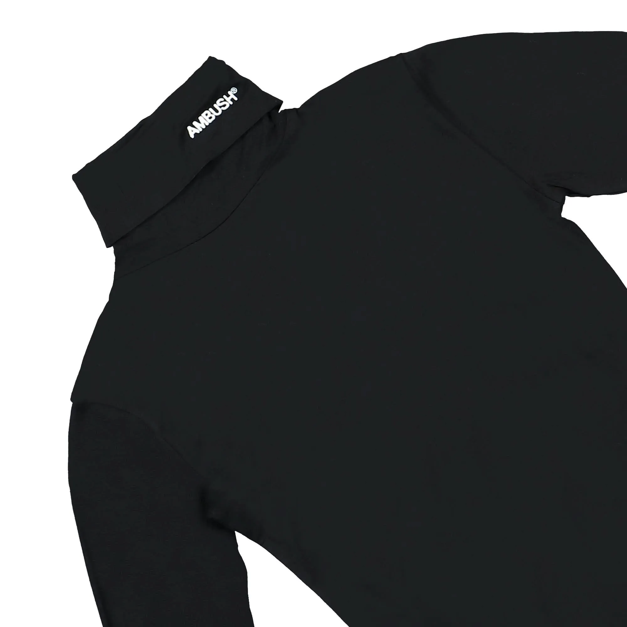 Fitted Turtleneck